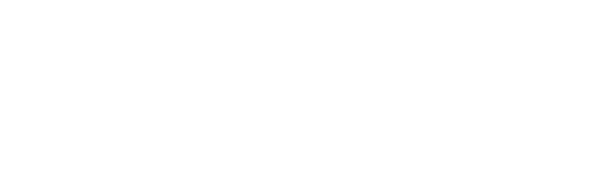 Vegvisir logo